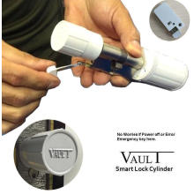 Vault Smart Cylinder C200